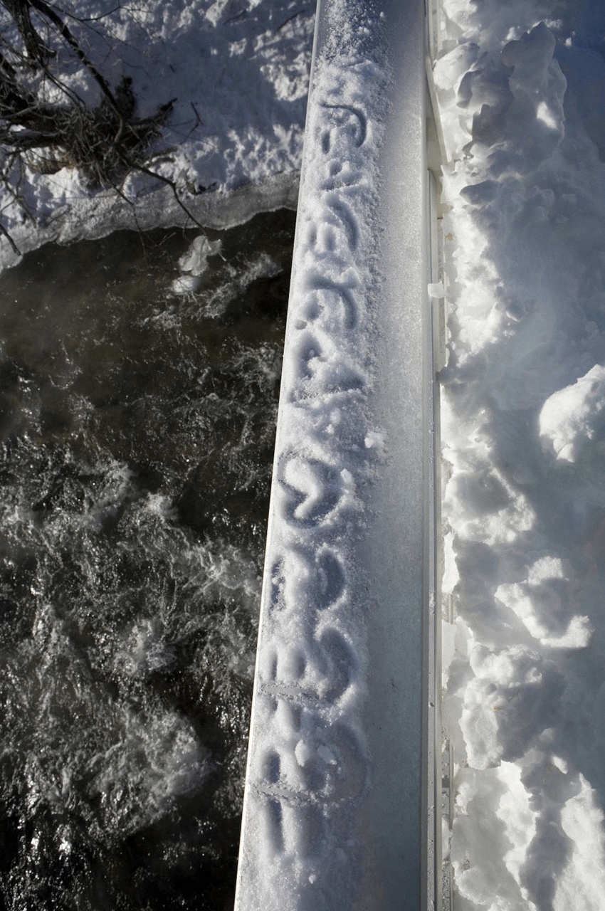 [VYJ] Momoko Tani - Silver Momo